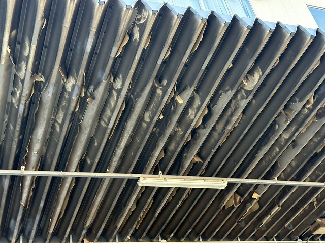 塗膜の浮きや膨れが確認できる写真